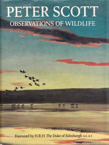 Image for Observations of Wildlife