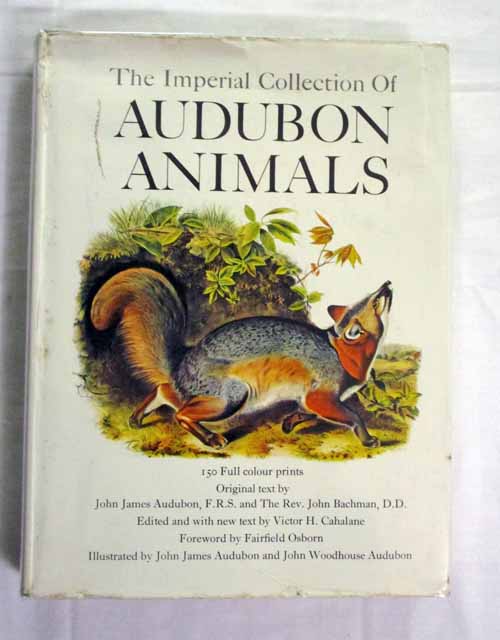 Image for The Imperial Collection of Audubon Animals The Quadrupeds of North America