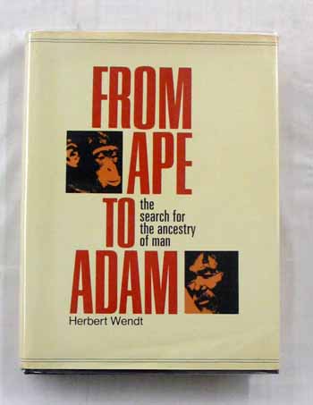 Image for From Ape to Adam. The Search for the Ancestry of Man