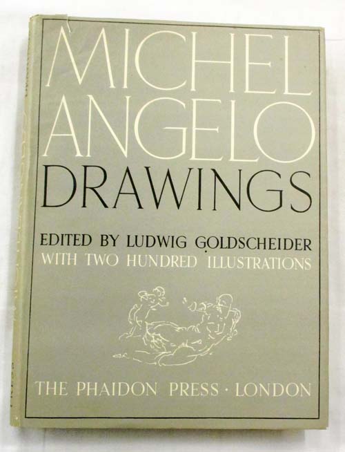 Image for Michelangelo Drawings