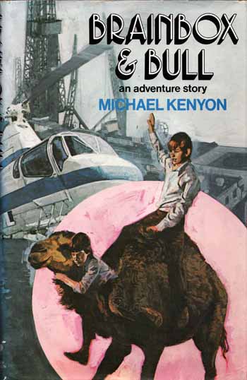 Image for Brainbox and Bull an Adventure Story
