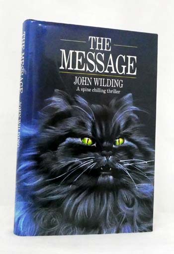 Image for The Message