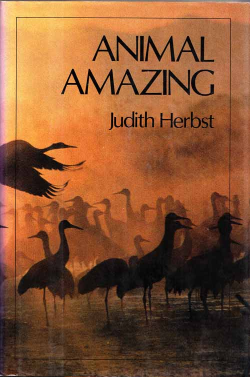 Image for Animal Amazing