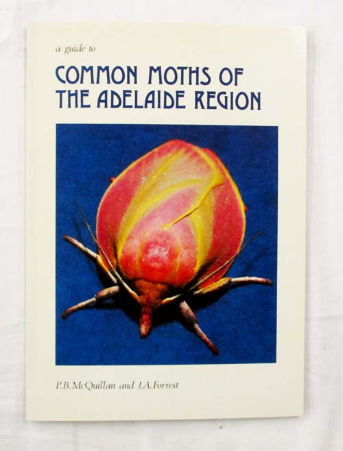 Image for A Guide to Common Moths of the Adelaide Region