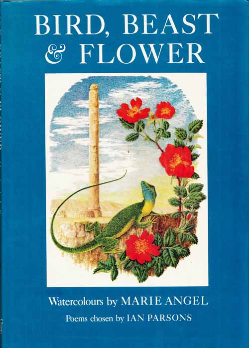 Image for Bird, Beast and Flower