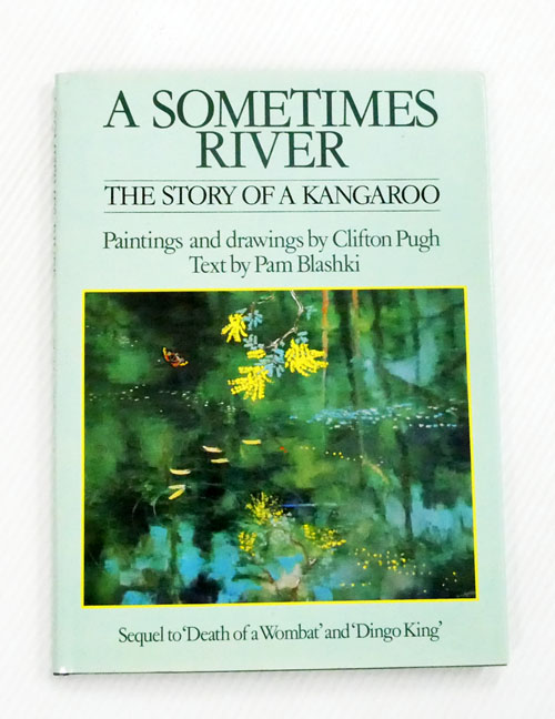 Image for A Sometimes River: The Story of a Kangaroo