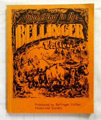 Image for Pioneering in the Bellinger Valley