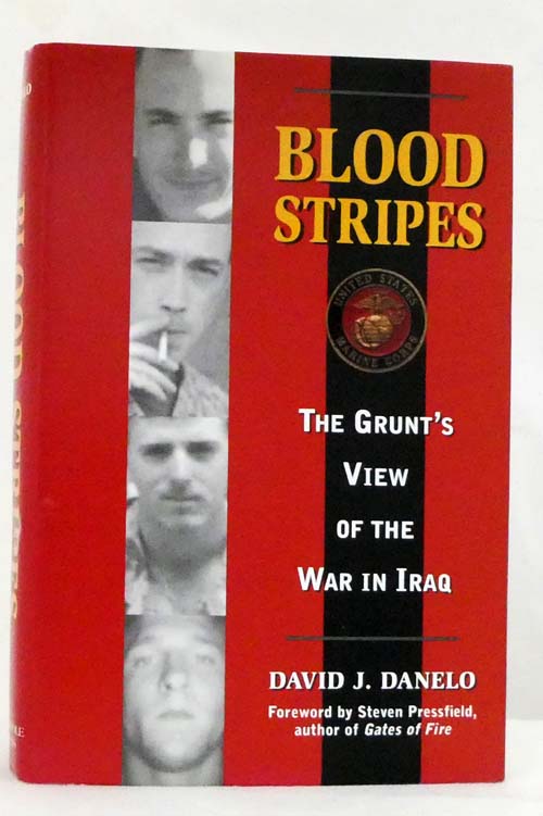 Blood Stripes The Grunt's View of the War in Iraq