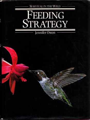 Image for Feeding Strategy