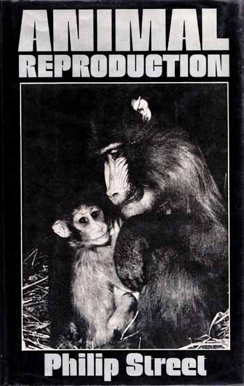 Image for ANIMAL REPRODUCTION